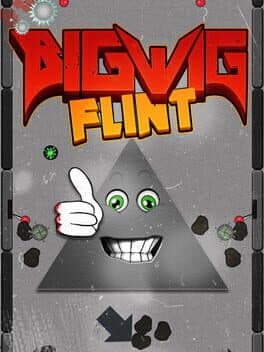 Bigwig Flint cover art
