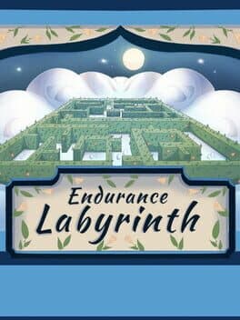 Endurance Labyrinth cover art