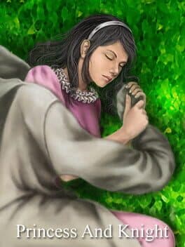 Princess and Knight cover art