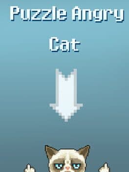 Puzzle Angry Cat cover art