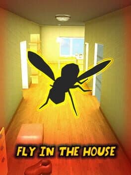Fly in the House cover art