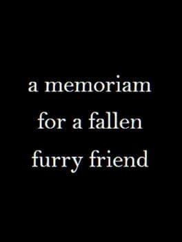 A Memoriam to a Fallen Furry Friend cover art