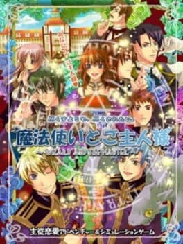 Shinsouban Mahoutsukai to Goshujin-sama: Wizard and The Master cover art