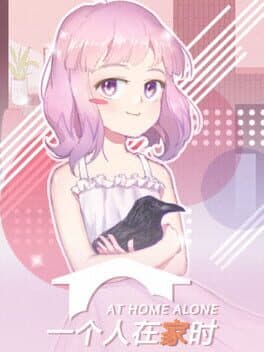 At Home Alone II cover art