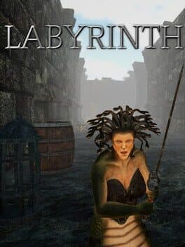 Labyrinth cover art