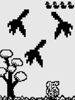 Mallard Hunt cover art