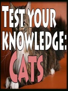 Test Your Knowledge: Cats cover art