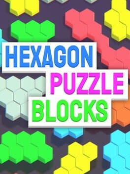 Hexagon Puzzle Blocks cover art