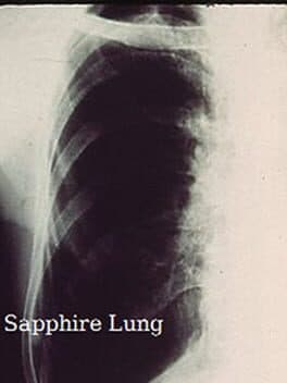 Sapphire Lung cover art