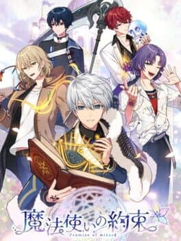 Promise of Wizard cover art