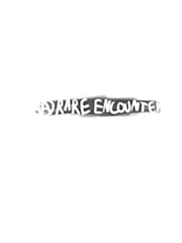 A Rare Encounter cover art