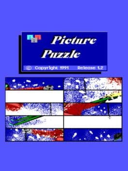 Picture Puzzle cover art
