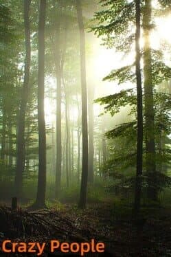 Crazy People cover art