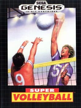 Super Volley Ball cover art