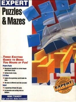 Expert Puzzles & Mazes cover art