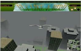 Fly Like a Bird cover art