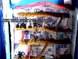 Too Many Kittens cover art