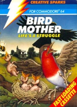 Bird Mother cover art