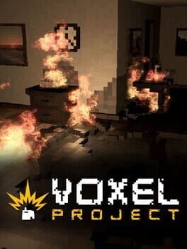 Voxel Project cover art