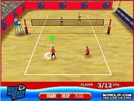 Rule The Beach Volleyball cover art
