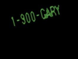 1-900-Gary cover art