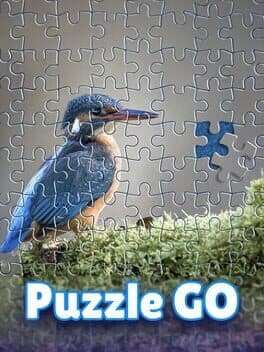 Puzzle Go cover art