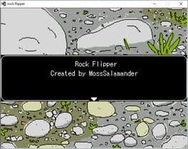 Rock Flipper cover art