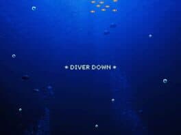 Diver Down cover art