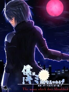 Boku wa Kimi dake o Mitsumeru Gaiden: Saber Tiger Hen cover art