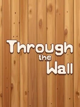 Through the Wall cover art