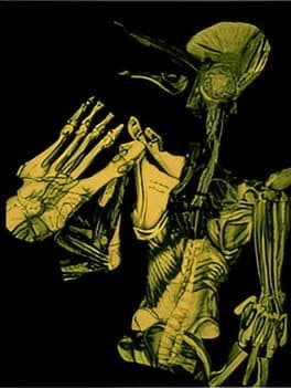 A Night for Flesh and Roses cover art