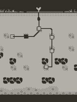 Tender Root cover art