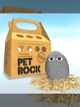 Pet Rock cover art