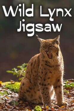 Wild Lynx Jigsaw cover art
