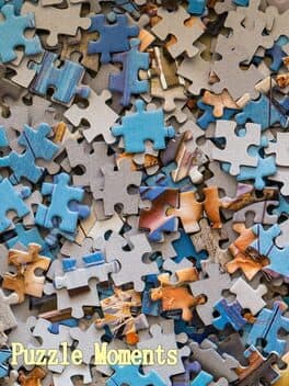 Puzzle Moments cover art
