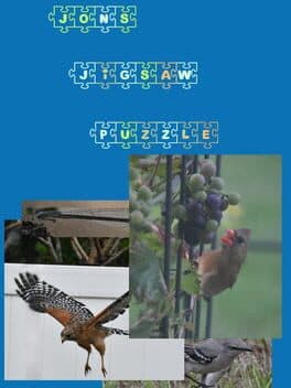 Jon's Jigsaw Puzzle cover art