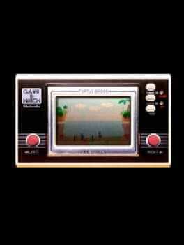 Turtle Bridge cover art