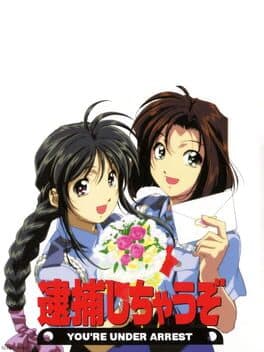 You're Under Arrest cover art