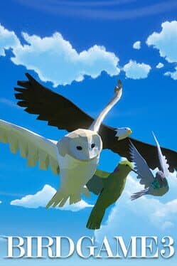 Bird Game 3 cover art