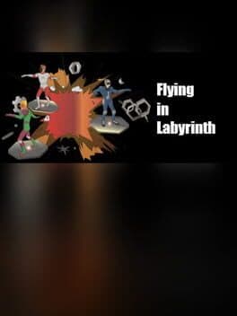 Flying in Labyrinth cover art