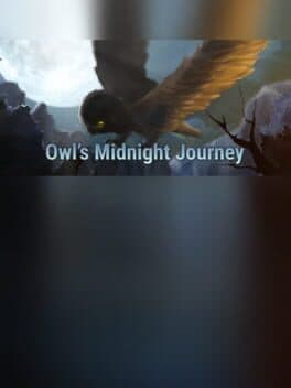 Owl's Midnight Journey cover art