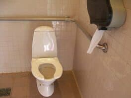 Toiletworld cover art