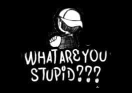 What Are You Stupid cover art