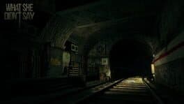 What She Didn't Say cover art