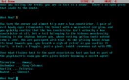 Mad Cow Man and Deep Fried Beef Fat Boy cover art