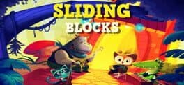 Sliding Blocks cover art