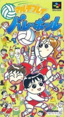 Multi Play Volleyball cover art