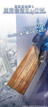 The Big Fear of Heights Experience cover art