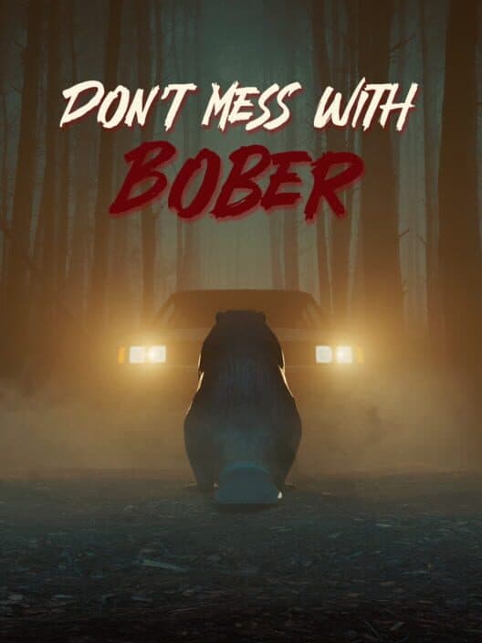 Don't Mess With Bober cover art