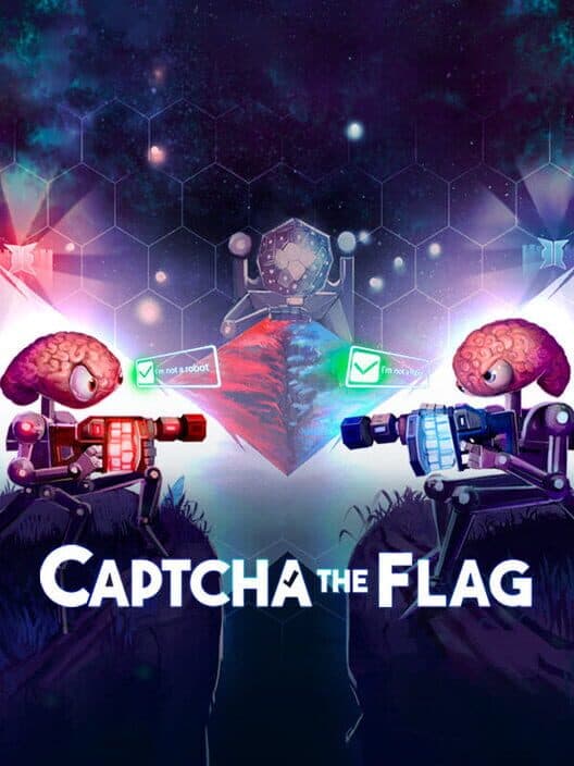 Captcha The Flag